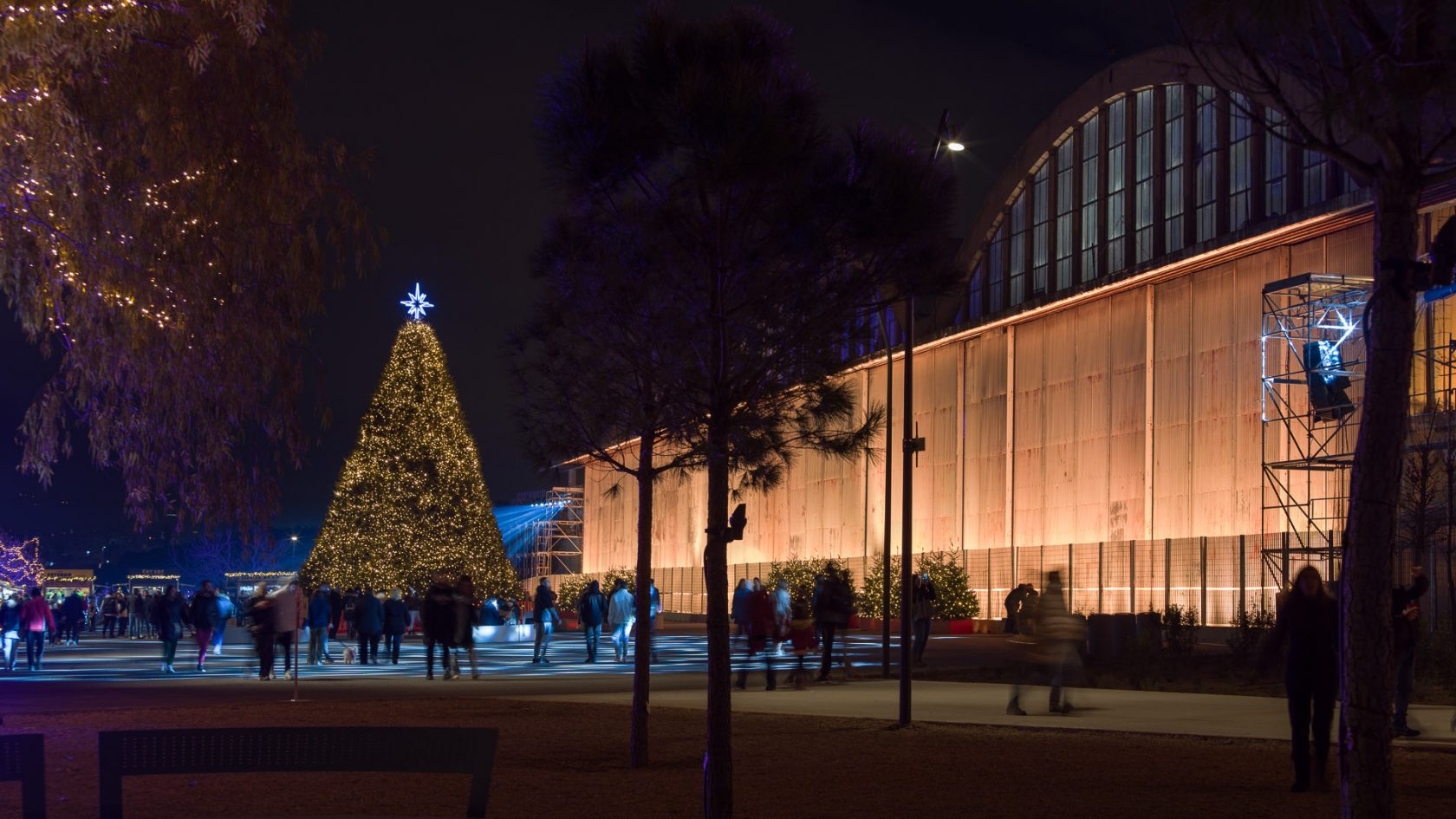 The trees of the impressive Christmas Tree of The Ellinikon Experience Park find their new home.